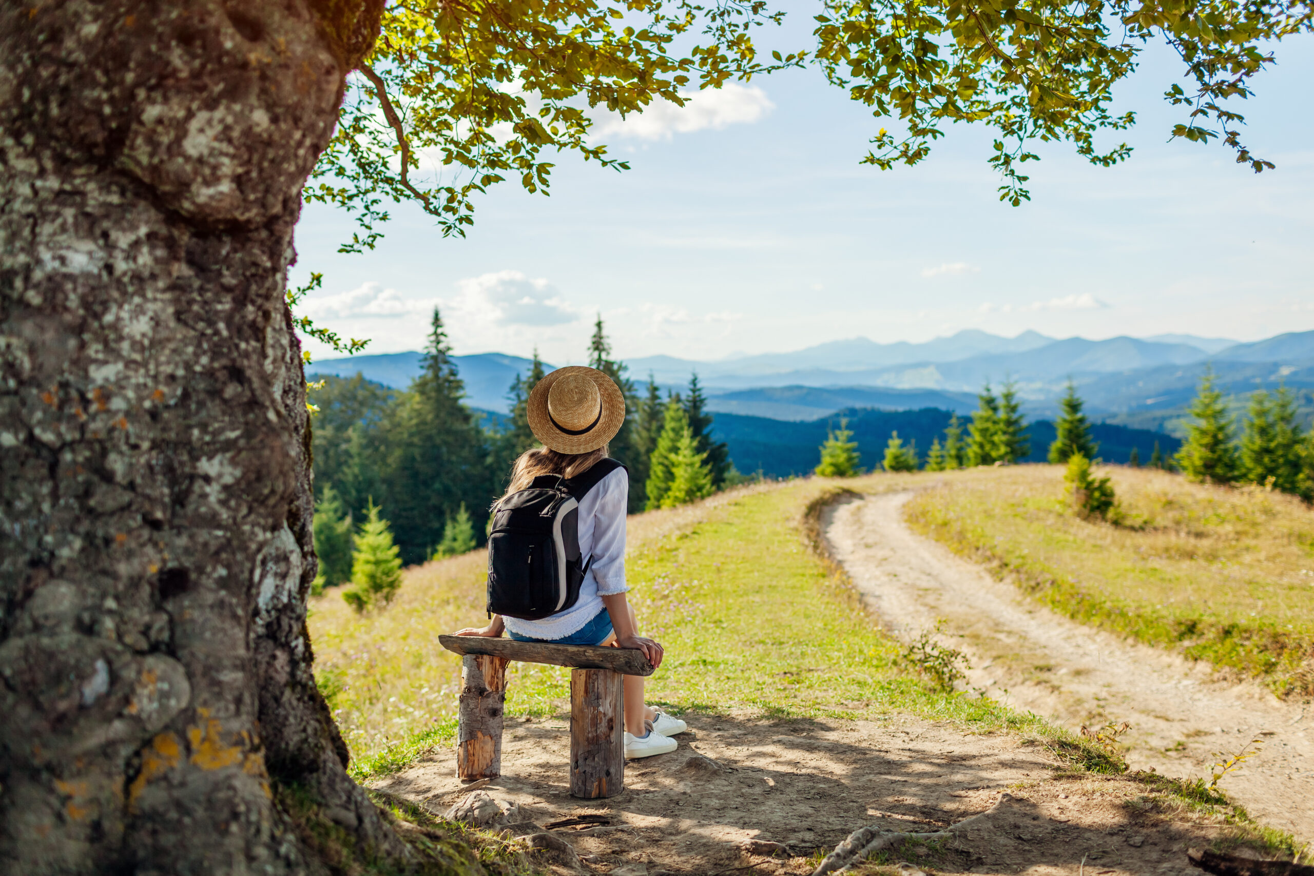 Trip to Carpathian mountains. Woman tourist hiking and relaxing admiring landscape sitting under tree with backpack. Traveling in summer Ukraine